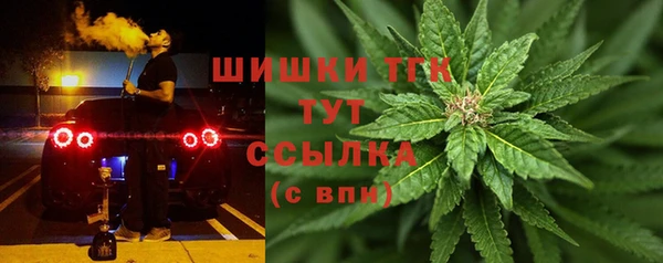 mdpv Горнозаводск